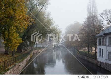 view of autumnal trees in border the Il river at the little france quarter in Strasbourg 83747891