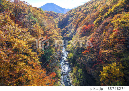 紅葉の中津川渓谷 83748274