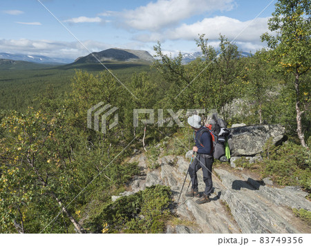Man backpack hiker at Kungsleden trail admiring nature of Sarek in Sweden Lapland with mountains, rock and birch and spruce tree forest. Summer sunny day, blue sky white clouds. 83749356