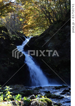 滝と紅葉 滝と紅葉 83750741