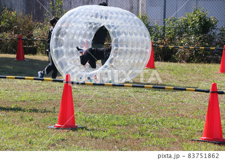 サイバーホイール　ビニールチューブ遊具 83751862