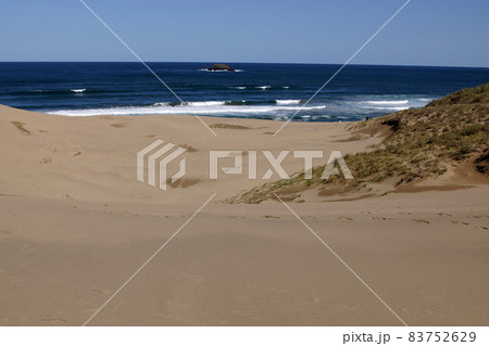 鳥取　四季の散歩　秋　砂丘 83752629