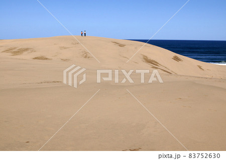 鳥取　四季の散歩　秋　砂丘 83752630
