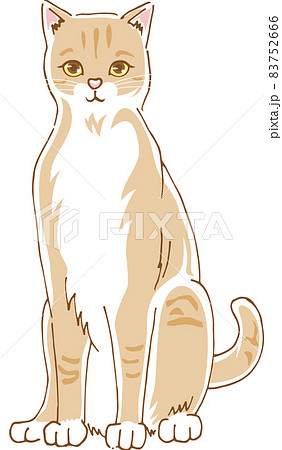 正面を向いているかわいい猫のイメージイラストのイラスト素材