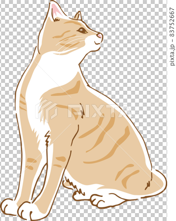 一隻可愛的貓轉身的圖像插圖 一隻可愛的貓轉身的圖像插圖 83752667