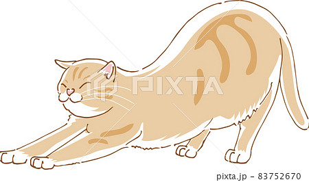 伸びをしているかわいい猫のイメージイラストのイラスト素材