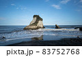 知る人ぞ知る鴨川松島の荒波が砕ける夫婦岩 83752768