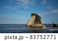 知る人ぞ知る鴨川松島の荒波が砕ける夫婦岩 83752771