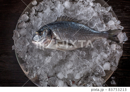 Seafood cooking preparation. Top view of dorado on ice. 83753213