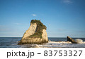 人に教えたくない鴨川松島の絶景、夫婦岩 83753327