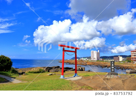 千葉県南房総市白浜町 房総半島 野島崎の風景 千葉県南房総市白浜町 房総半島 野島崎の風景 83753792