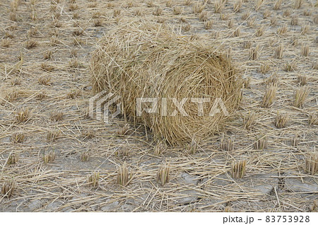 藁感応させる 83753928