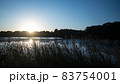人里離れた外房の沼のひそかな日没 83754001