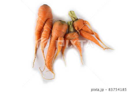 Funny ugly carrots Funny ugly carrots 83754185