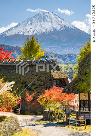 茅葺民家と富士山の秋《撮影協力：西湖いやしの里根場様》 83755250