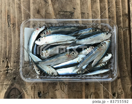 ミジュン 83755592