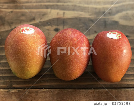 マンゴー マンゴー 83755598