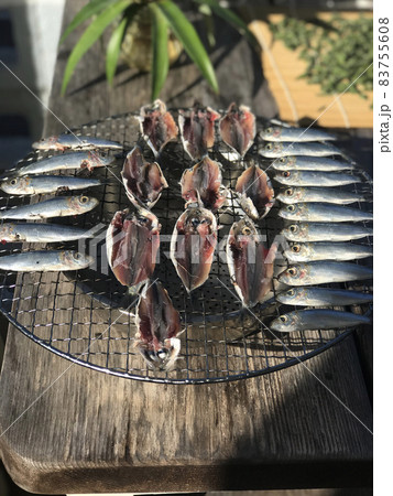 ミジュンの干物 83755608