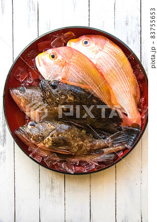 萩のレンコダイとめばる 萩のレンコダイとめばる 83755653