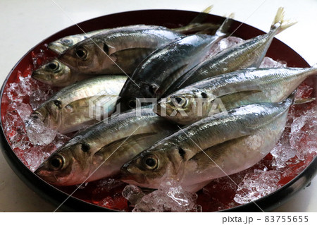 萩瀬つきあじ　お造り 83755655