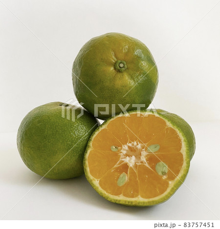 みかん苗 沖縄 タルガヨー 実付き 高さ約100cm タルガヨー みかん苗 実