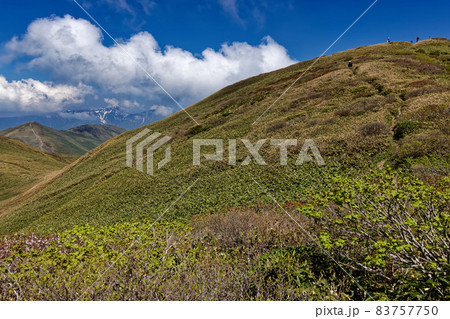 初夏の谷川連峰・仙ノ倉山山頂と平標山・苗場山の眺め 初夏の谷川連峰・仙ノ倉山山頂と平標山・苗場山の眺め 83757750