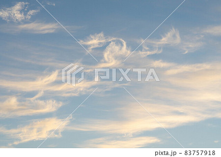 空 83757918