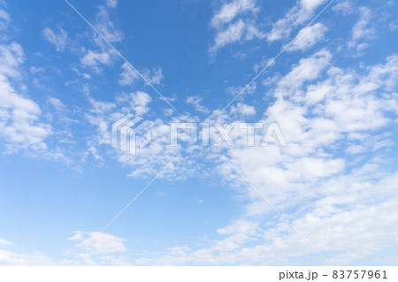 空 空 83757961