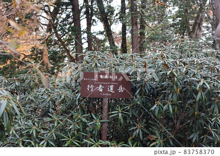 行者還岳山頂の看板 83758370
