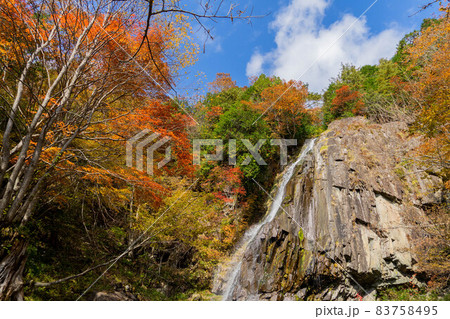 大倉滝 83758495