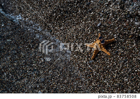 Starfish in sunglasses on a pebble beach. Rest at the sea. 83758508