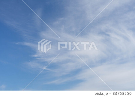空 空 83758550