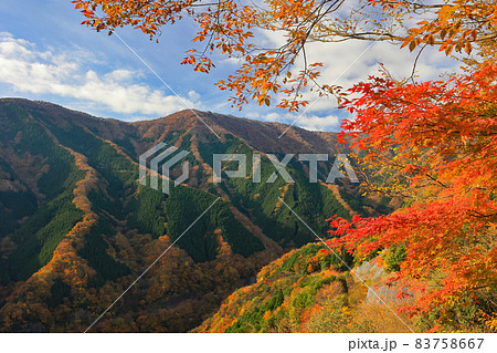 ナメゴ谷の紅葉 ナメゴ谷の紅葉 83758667