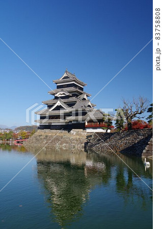 信州 松本 国宝 秋の松本城 現存する築城当時の姿を残す本物の天守 信州 松本 国宝 秋の松本城 現存する築城当時の姿を残す本物の天守 83758808