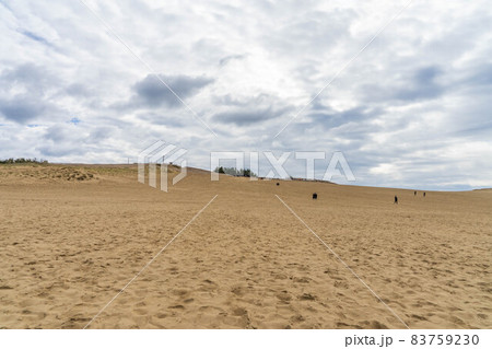 鳥取砂丘 83759230