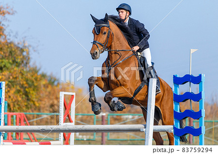 Young sportsman riding the sorrel horse jumping over an obstacle on show jumping competition 83759294