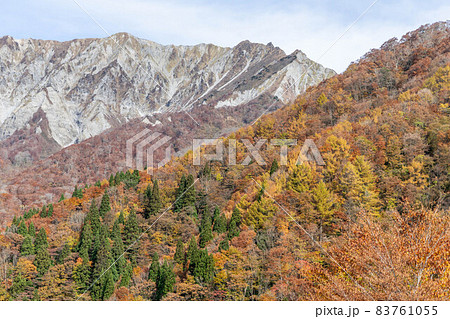 大山の紅葉 83761055