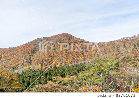 大山の紅葉 83761073