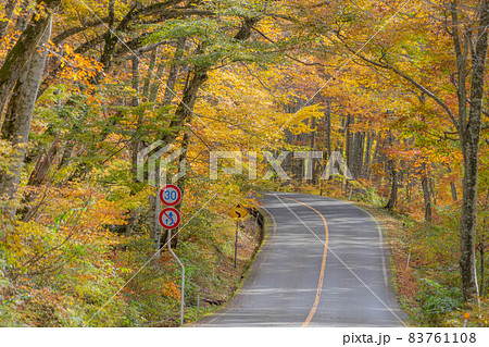 大山の紅葉 83761108