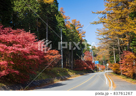 榛名湖外周道路の紅葉 群馬県 榛名湖外周道路の紅葉 群馬県 83761267