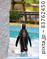ケープペンギン 83762450