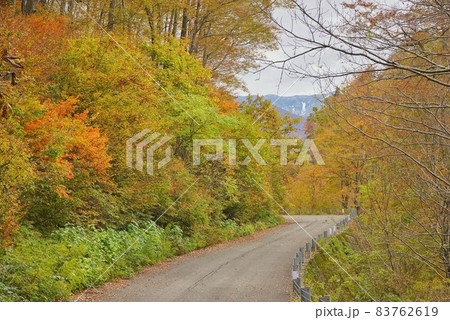 紅葉の道 紅葉の道 83762619