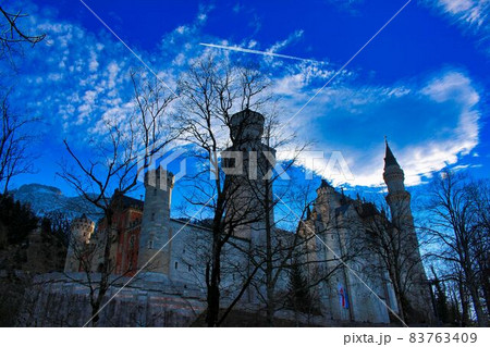 枯れ木と青空とお城 83763409