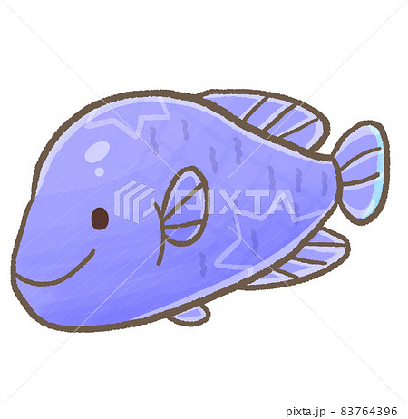 R もっとメルヘンな水族館 ナポレオンフィッシュ のイラスト素材 R もっとメルヘンな水族館 ナポレオンフィッシュ のイラスト素材