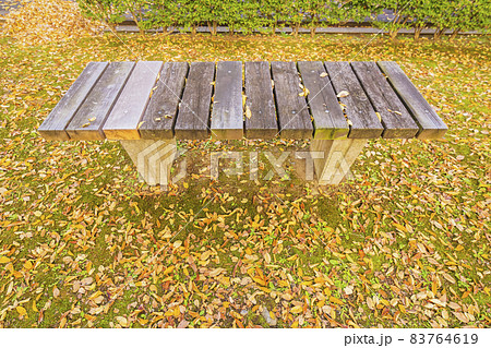 紅葉の林　ベンチ　木のベンチ　秋色の紅葉　落ち葉　黄葉　枯れ葉 83764619