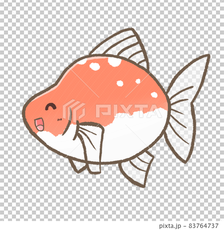 R：更童話水族箱☆金魚⑤ 83764737