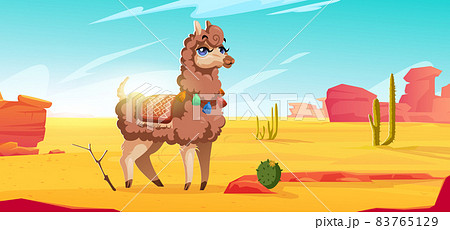 Cute alpaca in mexican desert with cactuses 83765129