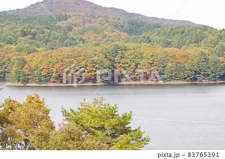 聖湖湖畔の紅葉の景色 聖湖湖畔の紅葉の景色 83765391