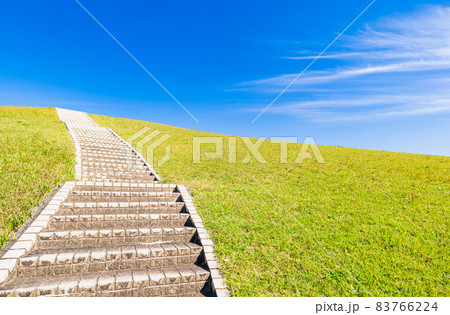 風そよぐ緑の丘 83766224