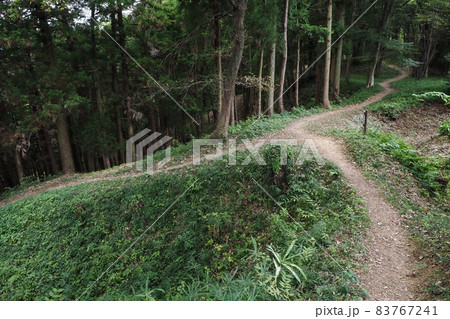 武蔵嵐山杉山城 武蔵嵐山杉山城 83767241